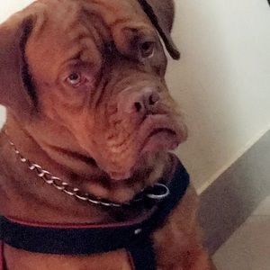 Meet your Posher, Kuljeet